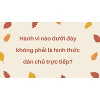 Hành vi nào dưới đây không phải là hình thức dân chủ trực tiếp?