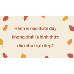 Hành vi nào dưới đây không phải là hình thức dân chủ trực tiếp?