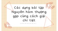 Các dạng bài tập Nguyên hàm thường gặp cùng cách giải chi tiết