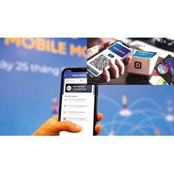 Thủ tướng đồng ý triển khai thí điểm dịch vụ Mobile Money