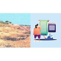 Lớp vỏ địa lí là gì? Quy luật thống nhất và hoàn chỉnh của lớp vỏ địa lí
