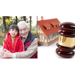 Sự phát triển và hoàn thiện của thừa kế thế vị qua từng thời kì