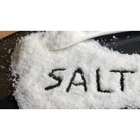 Kim loại nào sau đây tác dụng với Cl2 và HCl tạo ra cùng một muối?
