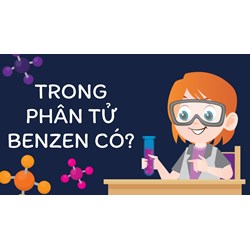 Trong phân tử benzen có? Hoá học lớp 11