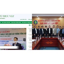 Website Cục Bảo vệ thực vật cập nhật những nội dung thông tin nào?