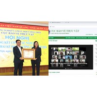 Quy trình biên tập thông tin trên website của Cục Bảo vệ thực vật