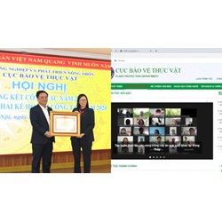 Quy trình biên tập thông tin trên website của Cục Bảo vệ thực vật