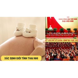 Có bị khai trừ khỏi Đảng khi tham gia hoạt động xác định giới tính thai