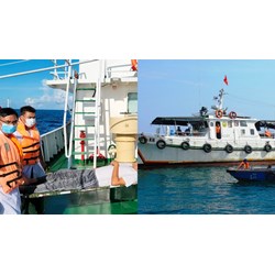 Yêu cầu về trình độ đối với nhân viên y tế tàu kiểm ngư trong cơ quan hành chính