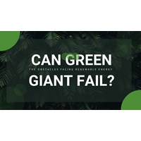 Can Green Giants Fall? The Obstacles Facing Renewable Energy