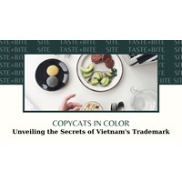 Copycats in Color? Unveiling the Secrets of Vietnam's Trademark