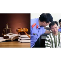 Quy định phục hồi danh dự cho người bị thiệt hại trong tố tụng hình sự