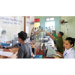Công chức cấp xã bị mất năng lực hành vi dân sự có bị xử lý kỷ luật không?