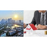 Khi nào thì môi giới bất động sản không được hành nghề tự do?