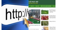 Định mức tối thiểu cung cấp thông tin trên website Cục Bảo vệ thực vật