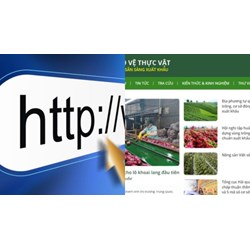 Định mức tối thiểu cung cấp thông tin trên website Cục Bảo vệ thực vật