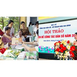 Vụ Cơ cấu và Chất lượng dân số, Tổng cục Dân số Kế hoạch hóa gia đình
