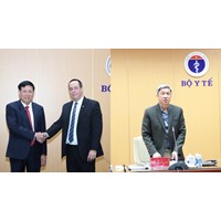 Thứ trưởng Bộ Y tế chịu trách nhiệm nhiệm vụ được phân công trước ai?