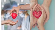 Trách nhiệm quản lý nhà nước về hiến, lấy, ghép mô, bộ phận cơ thể người và hiến, lấy xác
