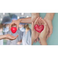 Trách nhiệm quản lý nhà nước về hiến, lấy, ghép mô, bộ phận cơ thể người và hiến, lấy xác