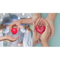 Trách nhiệm quản lý nhà nước về hiến, lấy, ghép mô, bộ phận cơ thể người và hiến, lấy xác