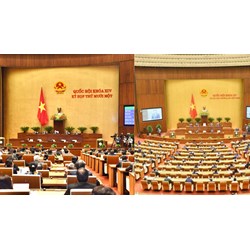 Cục thuộc bộ có phải là tổ chức bắt buộc có trong cơ cấu tổ chức của Bộ?