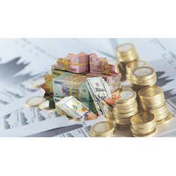 Nguyên tắc kiểm tra chấp hành chính sách về tiền tệ, ngân hàng