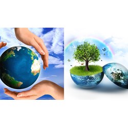 Trách nhiệm chủ dự án sau khi báo cáo đánh giá tác động môi trường?