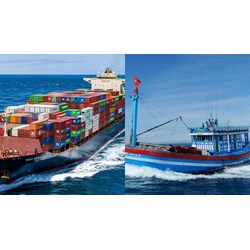 Trường hợp nào sẽ được cấp lại Giấy chứng nhận đăng ký tàu biển?