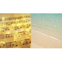 Phân tích Bài ca ngắn đi trên bãi cát chọn lọc hay nhất