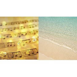 Phân tích Bài ca ngắn đi trên bãi cát chọn lọc hay nhất
