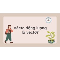 Véctơ động lượng là véctơ? - Vật lý lớp 10