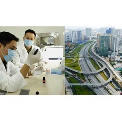 Trình độ để được bổ nhiệm giám định viên tư pháp trong lĩnh vực giao thông vận tải
