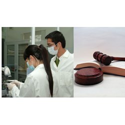 Người nước ngoài có thể trở thành giám định viên tư pháp ?