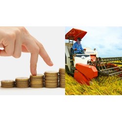 Thừa kế phần đóng góp thành viên hợp tác xã như thế nào?