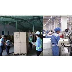 Bộ câu hỏi trắc nghiệm môn Địa lý lớp 4 cập nhật mới nhất