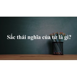 Sắc thái nghĩa của từ là gì? Ngữ văn lớp 8
