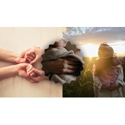 Viết một đoạn văn ngắn nói về tình cảm của em đối với mẹ siêu hay