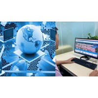 Vai trò của tổ chức khi tham gia Hệ thống mạng đấu thầu quốc gia?