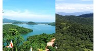 Vườn quốc gia Bạch Mã là đơn vị sự nghiệp thuộc cơ quan nào?
