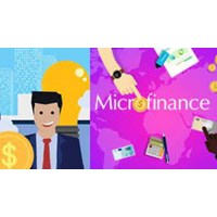 Những đối tượng là chủ sở hữu của tổ chức tài chính vi mô