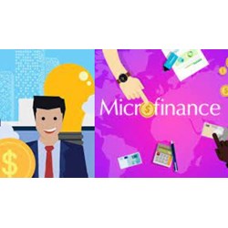 Những đối tượng là chủ sở hữu của tổ chức tài chính vi mô