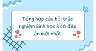 Tổng hợp câu hỏi trắc nghiệm Sinh học lớp 8 có đáp án mới nhất