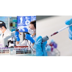 Quy định lấy mẫu thân thịt để phân tích vi sinh vật trong chuỗi thực phẩm