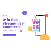 Digital Store, Real Protection: IP in Live Streaming E-Commerce