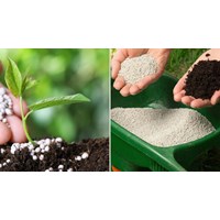 Đề xuất áp dụng thuế giá trị gia tăng 5% đối với phân bón