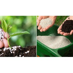 Đề xuất áp dụng thuế giá trị gia tăng 5% đối với phân bón