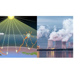 Trách nhiệm tính mức hấp thụ khí nhà kính tại vùng sinh thái có rừng