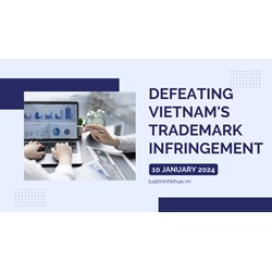 Beyond Bamboozled: Defeating Vietnam's Trademark Infringement