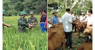 Mục tiêu chính sách xóa đói giảm nghèo giai đoạn 2021-2025